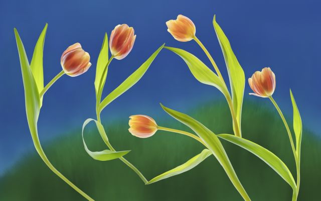 The Tulips Are Dancing