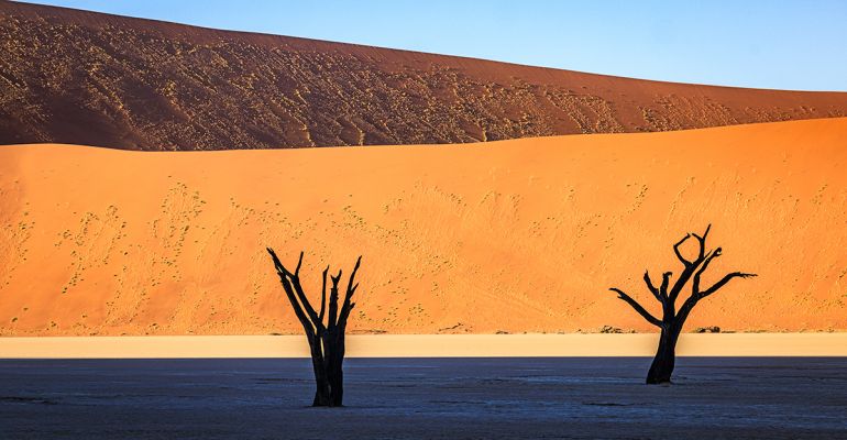 Morning Light,  Deadvlei,  Namibia 
