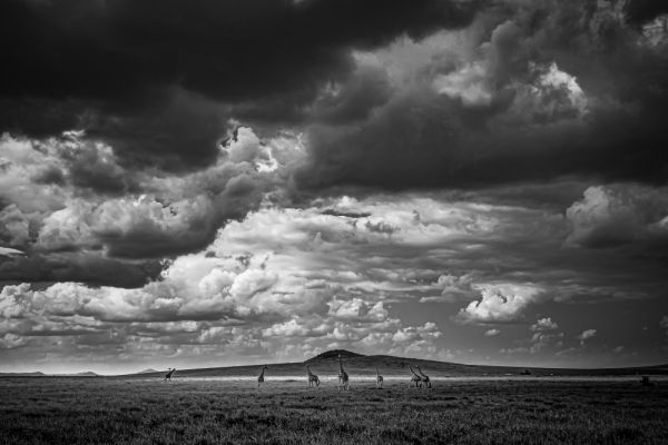 African Sky