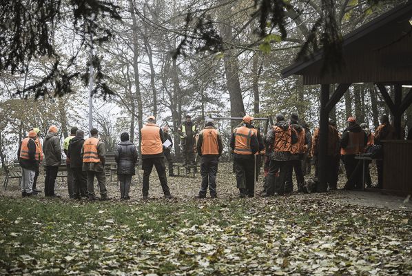 Hunting in this world of activism