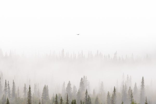 Silence & solitude