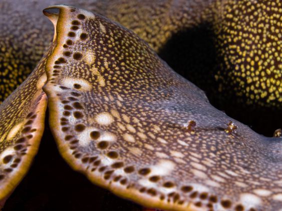 On the same wavelength