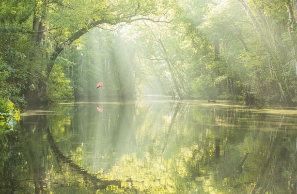 A CANOE EYE VIEW