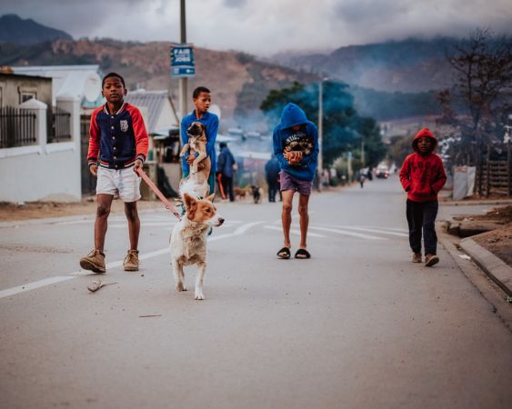 The Dogs of De Doorns, and Their People