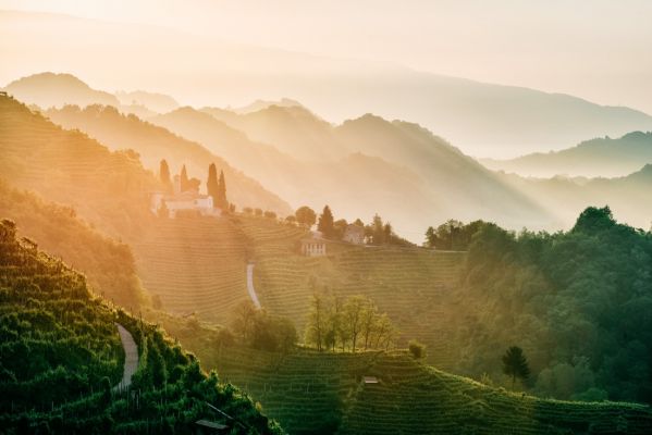 The Prosecco Hills of Conegliano and Valdobbiadene